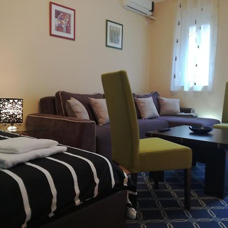 By The Park Free Parking Apartment Belgrade Luaran gambar
