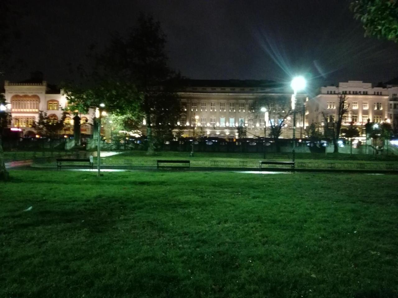 By The Park Free Parking Apartment Belgrade Luaran gambar