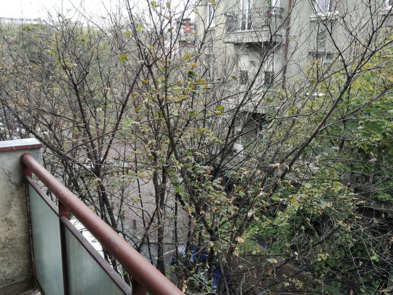 By The Park Free Parking Apartment Belgrade Luaran gambar