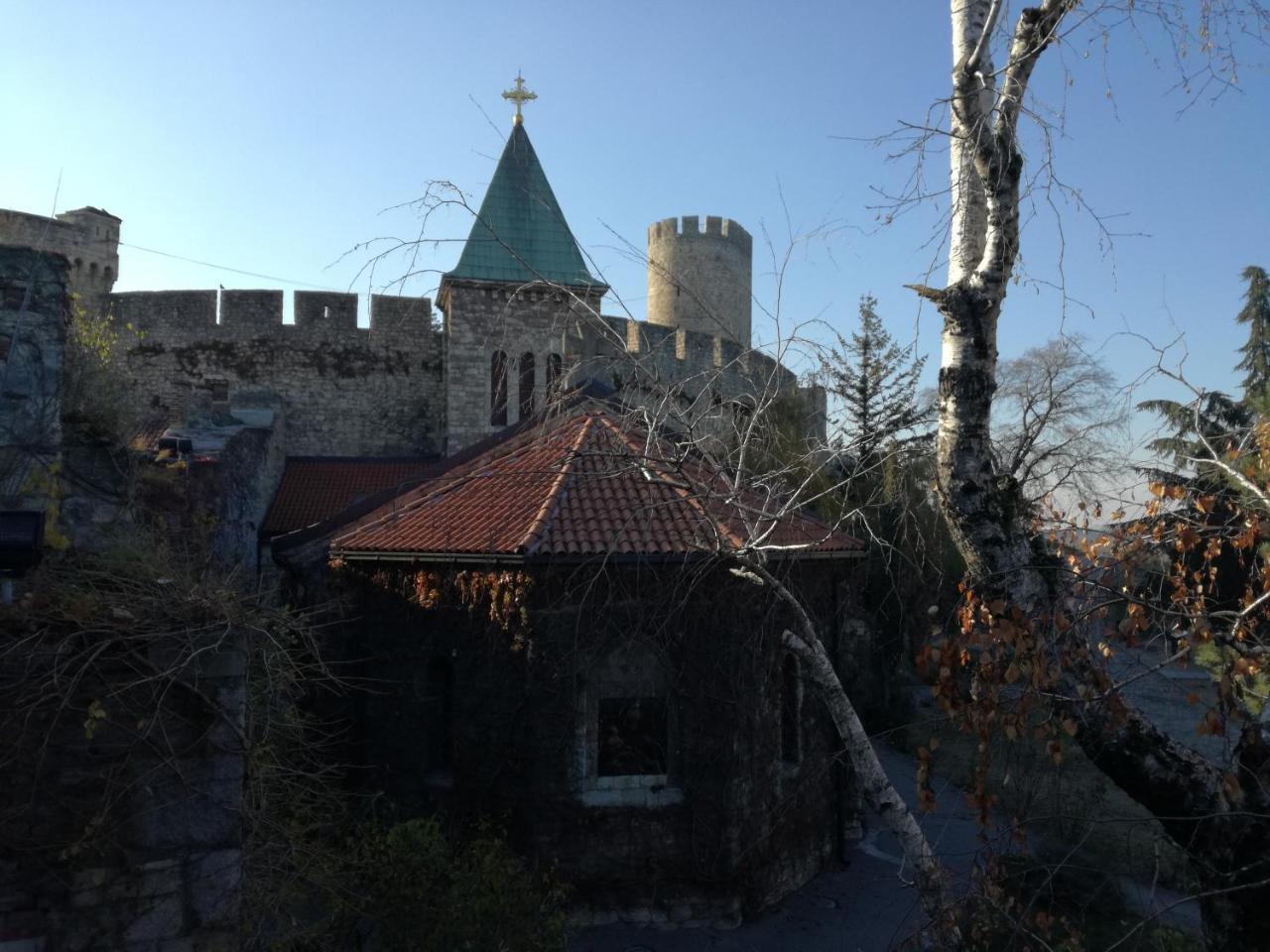 By The Park Free Parking Apartment Belgrade Luaran gambar