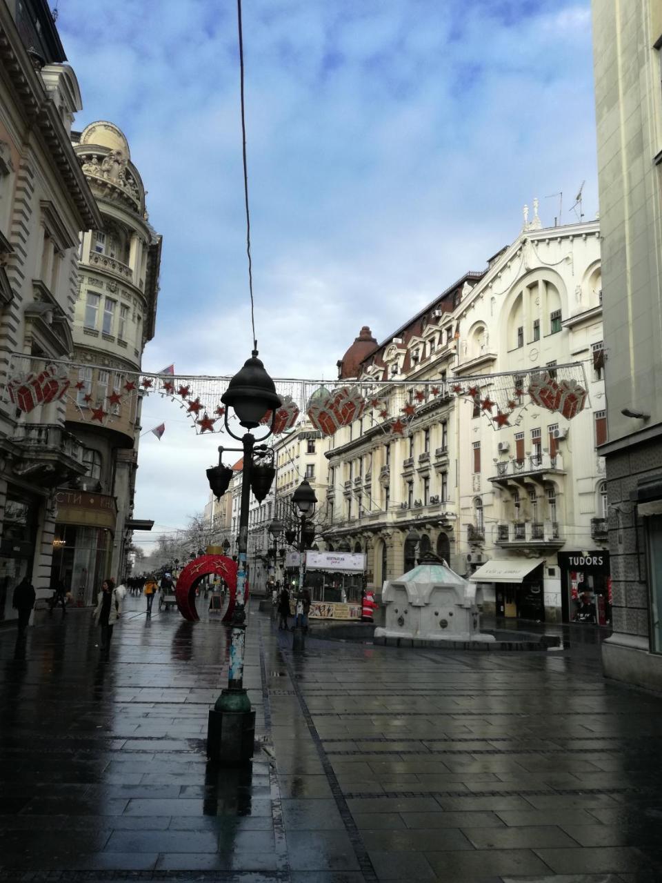 By The Park Free Parking Apartment Belgrade Luaran gambar