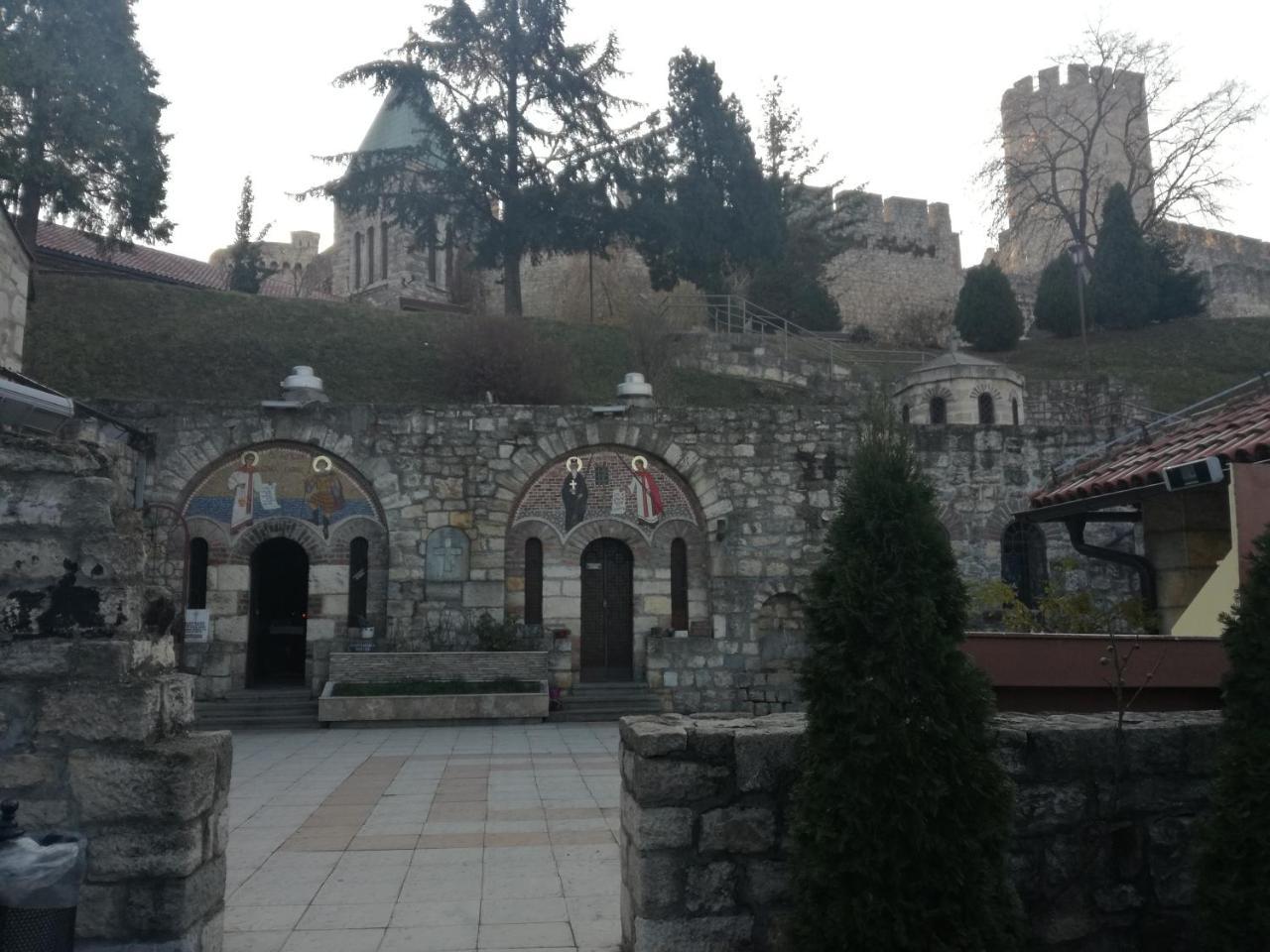 By The Park Free Parking Apartment Belgrade Luaran gambar