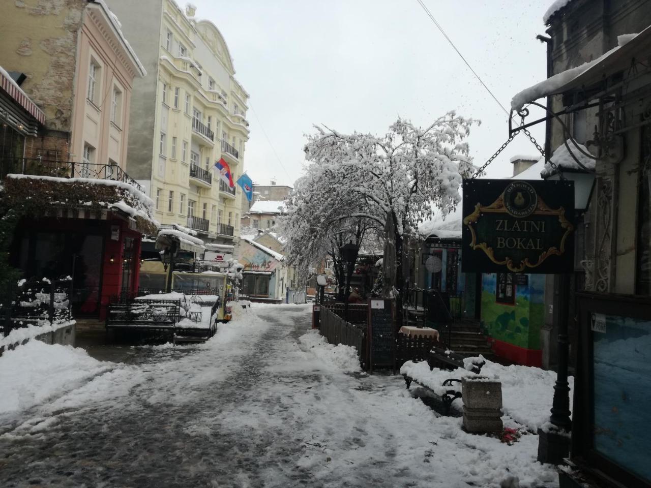 By The Park Free Parking Apartment Belgrade Luaran gambar