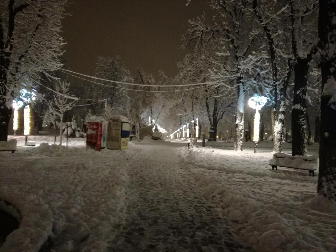 By The Park Free Parking Apartment Belgrade Luaran gambar